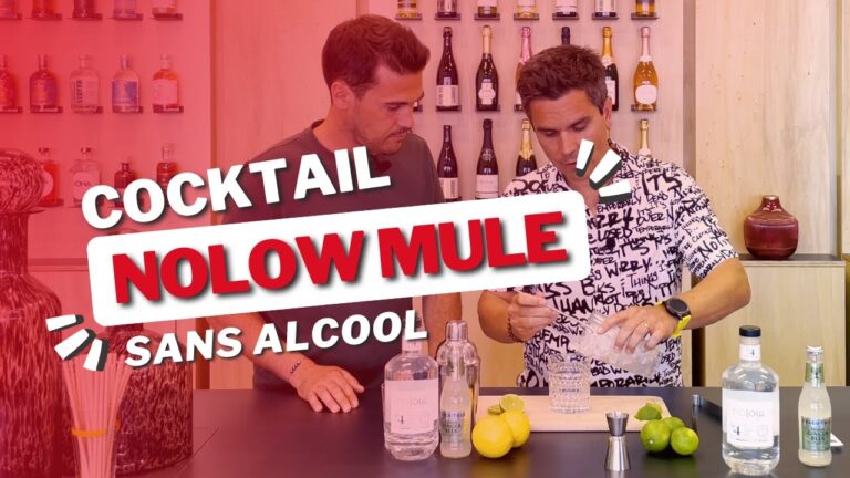 Voyage Sensoriel : Dégustation des Vins de Provence et Cocktails Français